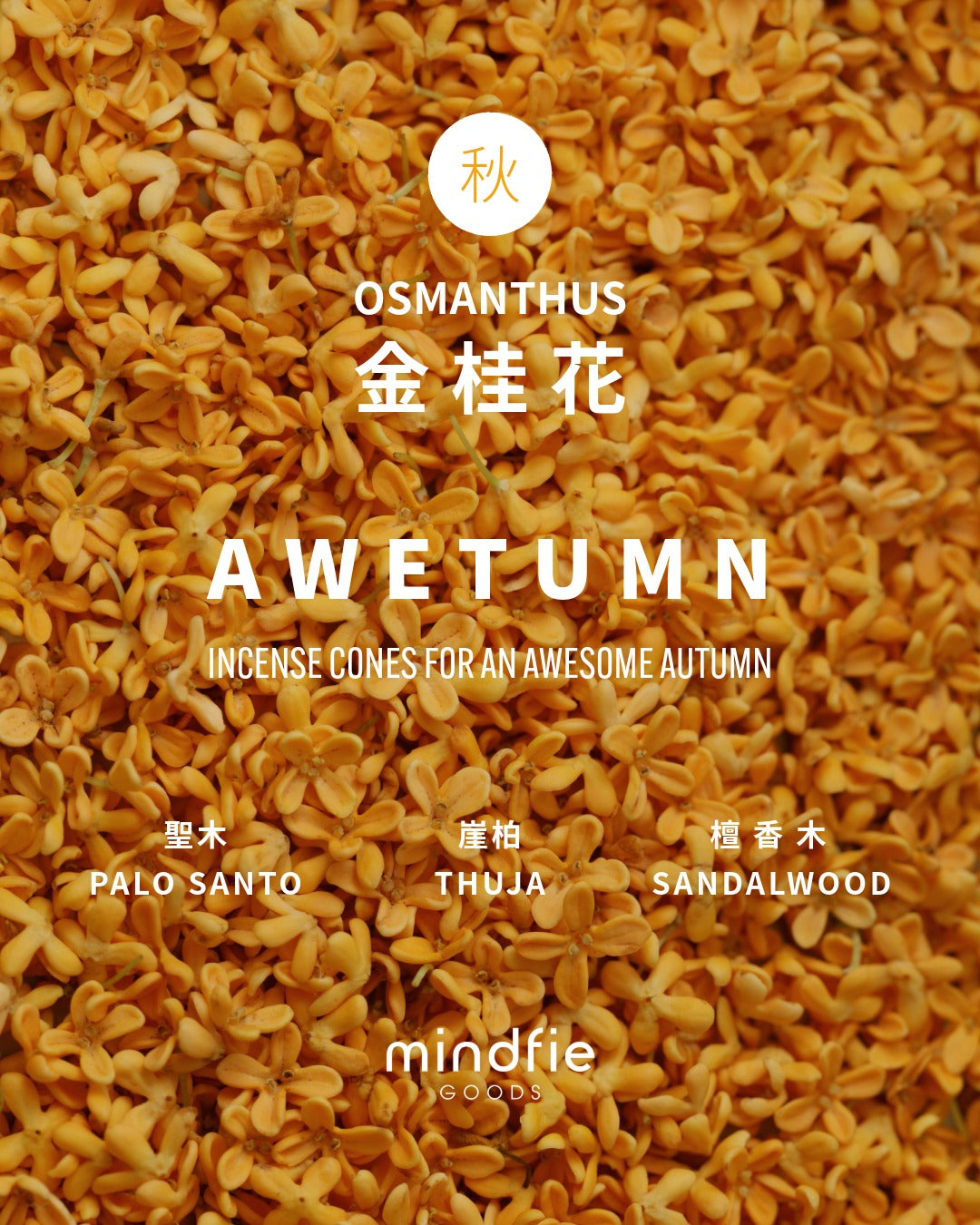 【AWETUMN】手工塔香 AWETUMN Incense Cone (金桂x崖柏x聖木x檀香木)