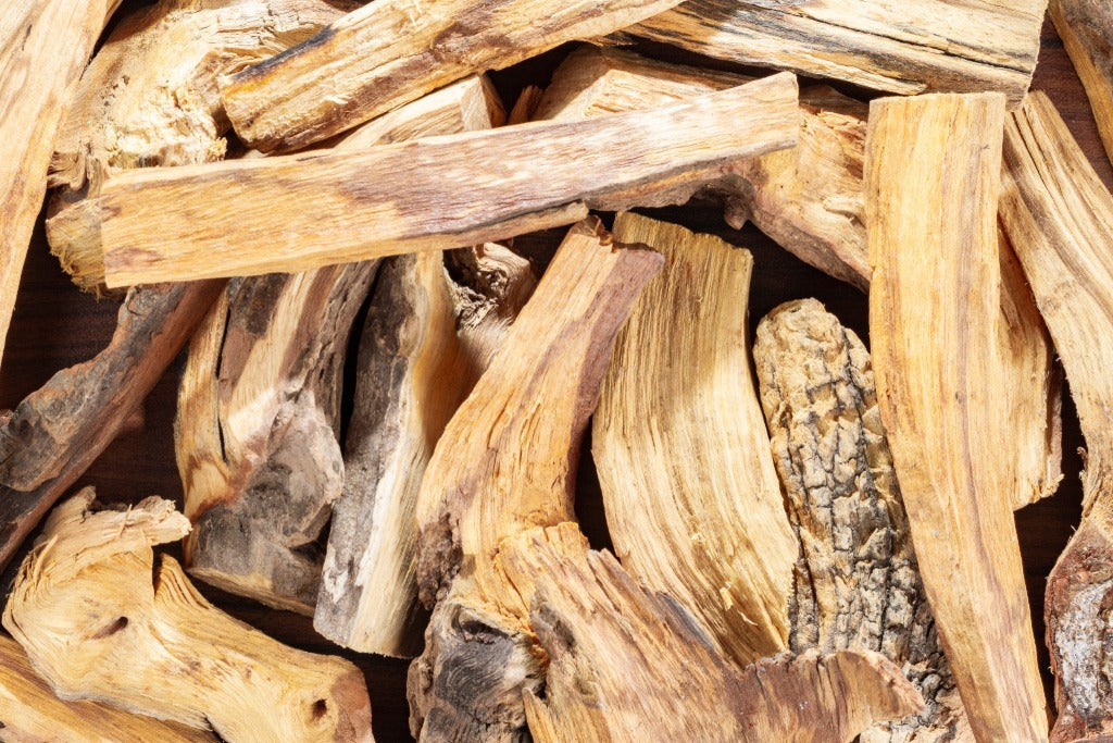 為什麼全世界都在瘋秘魯聖木？不只是身心靈淨化，科學與嗅覺心理學眼中的 4 大療癒功效
