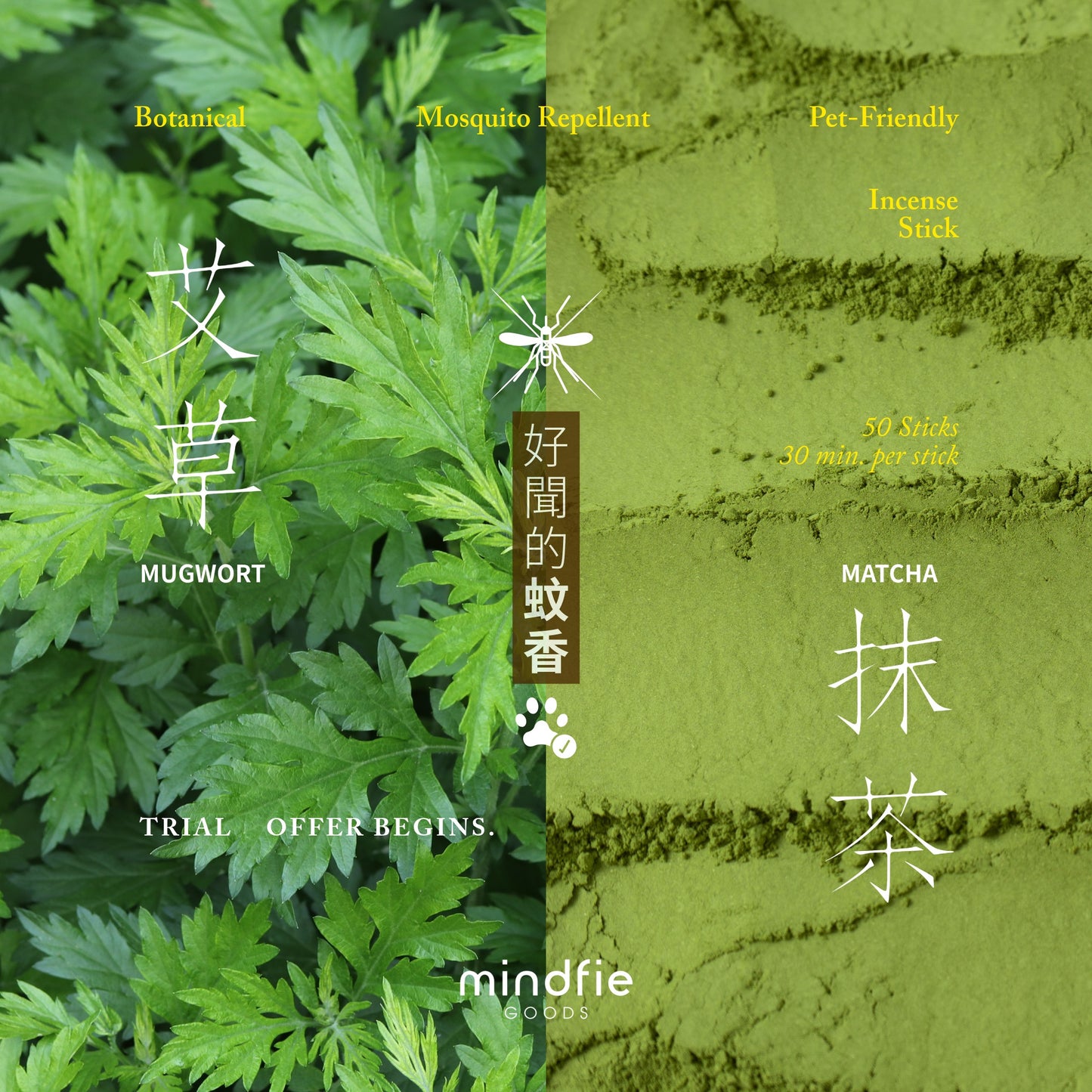 好聞的蚊香｜香港製造天然草本驅蚊香（寵物友善）Pet-Friendly Natural Mosquito Repellent Incense Stick