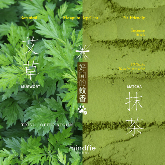 好聞的蚊香｜香港製造天然草本驅蚊香（寵物友善）艾草+日本抹茶 Pet-Friendly Natural Mosquito Repellent Incense Stick