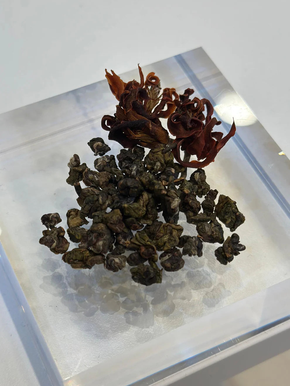 有機白毫烏龍配白蘭花茶包